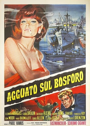 Agguato sul Bosforo - Film completo in Altadefinizione Agguato sul Bosforo streaming in alta definizione