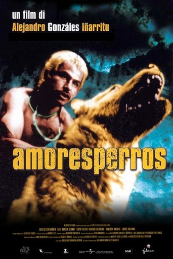 Amores perros streaming in alta definizione