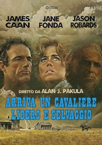 Arriva un cavaliere libero e selvaggio - Film completo in Altadefinizione Arriva un cavaliere libero e selvaggio streaming in alta definizione