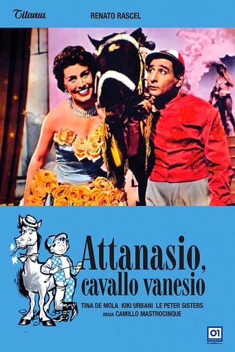 Attanasio cavallo vanesio - Film completo in Altadefinizione Attanasio cavallo vanesio streaming in alta definizione