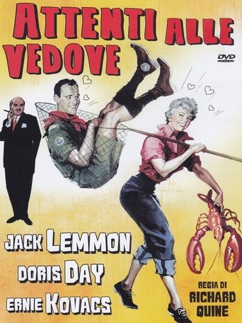 Attenti alle vedove streaming in alta definizione