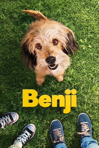 Guarda Benji in Altadefinizione Benji streaming film HD poster