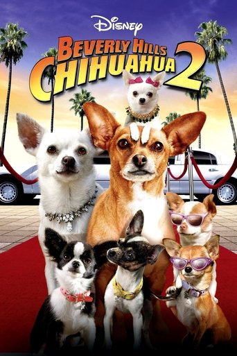 Beverly Hills Chihuahua 2 - Film completo in Altadefinizione Beverly Hills Chihuahua 2 streaming in alta definizione