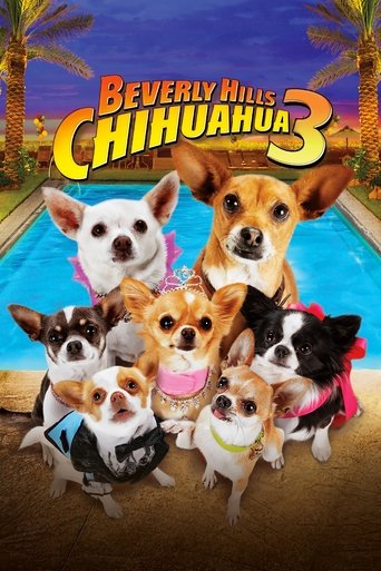 Beverly Hills Chihuahua 3 - Film completo in Altadefinizione Beverly Hills Chihuahua 3 streaming in alta definizione