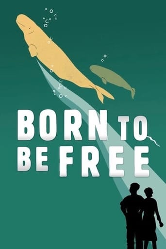 Born to Be Free streaming film HD poster