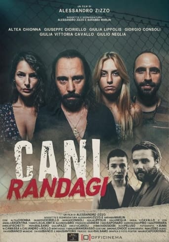 Cani randagi streaming in alta definizione