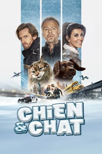 Cat & Dog - Film completo in Altadefinizione Cat & Dog streaming in alta definizione