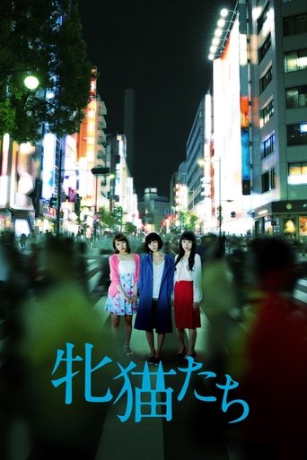 Come feline nelle notti di Tokyo streaming in alta definizione