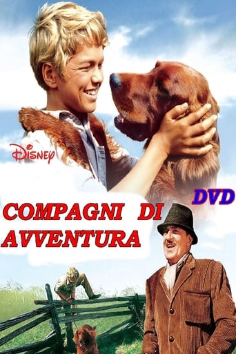 Compagni d'avventura - Film completo in Altadefinizione Compagni d'avventura streaming in alta definizione