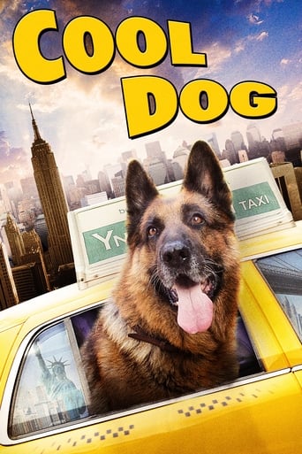 Cool Dog - Rin Tin Tin a New York