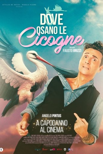 Dove osano le cicogne - Film completo in Altadefinizione Dove osano le cicogne streaming in alta definizione