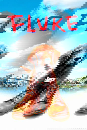 Fluke - Film completo in Altadefinizione Fluke streaming in alta definizione