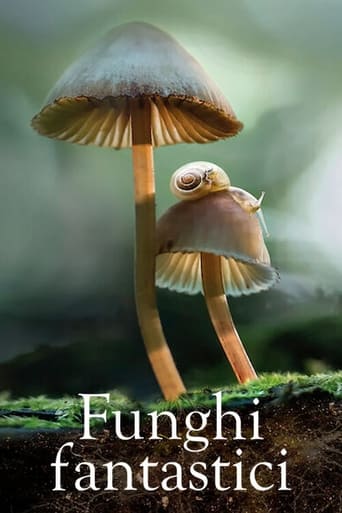 Funghi fantastici