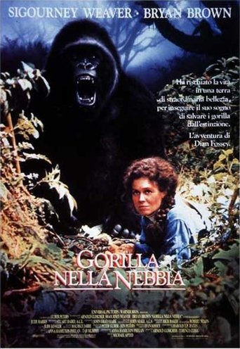 Guarda Gorilla nella nebbia in Altadefinizione Gorilla nella nebbia streaming film HD poster