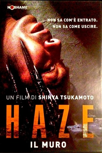 Haze - Il muro streaming in alta definizione