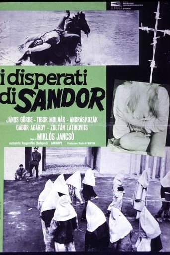 I disperati di Sandor streaming in alta definizione