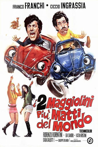 I due maggiolini più matti del mondo streaming in alta definizione