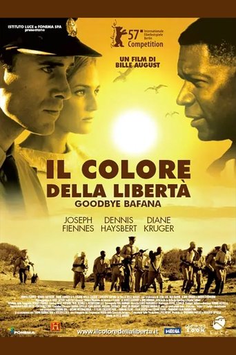 Il colore della libertà streaming film HD poster