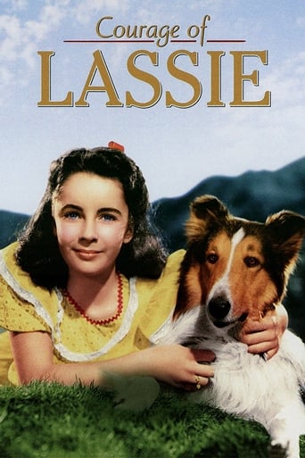 Il coraggio di Lassie - Film completo in Altadefinizione Il coraggio di Lassie streaming in alta definizione