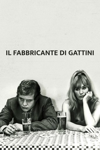 Il fabbricante di gattini streaming in alta definizione