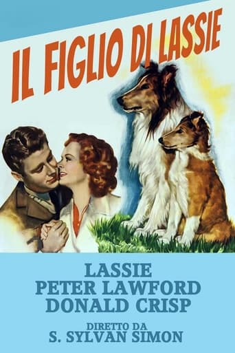 Il figlio di Lassie - Film completo in Altadefinizione Il figlio di Lassie streaming in alta definizione