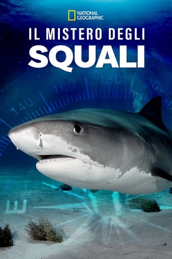 Il mistero degli squali - Film completo in Altadefinizione Il mistero degli squali streaming in alta definizione