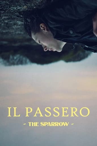 Il passero - The Sparrow - Film completo in Altadefinizione Il passero - The Sparrow streaming in alta definizione
