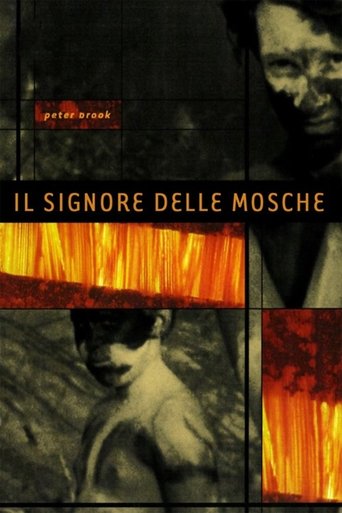 Guarda Il signore delle mosche in Altadefinizione Il signore delle mosche streaming film HD poster