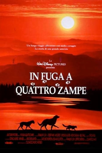 In fuga a quattro zampe - Film completo in Altadefinizione In fuga a quattro zampe streaming in alta definizione