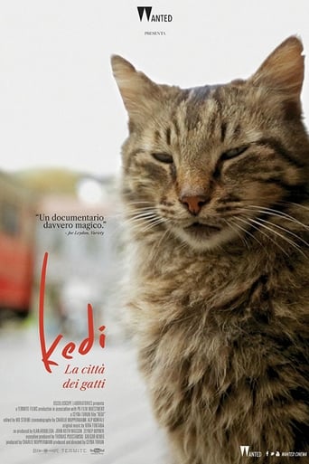 Kedi - La città dei gatti - Film completo in Altadefinizione Kedi - La città dei gatti streaming in alta definizione