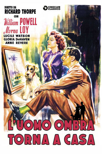 L'uomo ombra torna a casa - Film completo in Altadefinizione L'uomo ombra torna a casa streaming in alta definizione