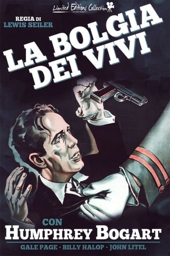 La bolgia dei vivi - Film completo in Altadefinizione La bolgia dei vivi streaming in alta definizione
