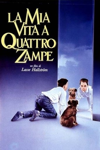 La mia vita a quattro zampe - Film completo in Altadefinizione La mia vita a quattro zampe streaming in alta definizione