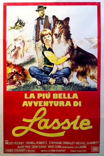 La più bella avventura di Lassie - Film completo in Altadefinizione La più bella avventura di Lassie streaming in alta definizione