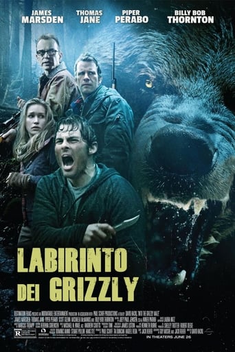 Labirinto dei Grizzly - Film completo in Altadefinizione Labirinto dei Grizzly streaming in alta definizione