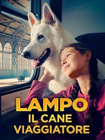 Lampo il cane viaggiatore - Film completo in Altadefinizione Lampo il cane viaggiatore streaming in alta definizione