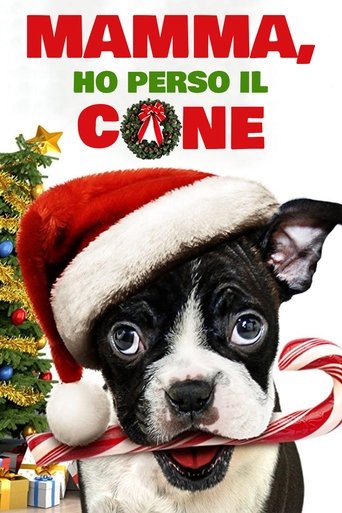 Mamma, ho perso il cane - Film completo in Altadefinizione Mamma, ho perso il cane streaming in alta definizione