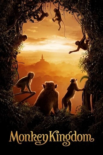 Monkey Kingdom streaming film HD poster