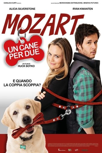 Mozart, un cane per due streaming in alta definizione