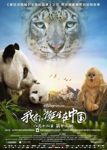 Nati in Cina streaming film HD poster