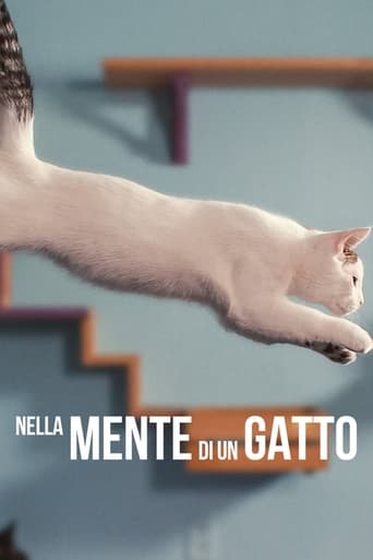Nella mente di un gatto - Film completo in Altadefinizione Nella mente di un gatto streaming in alta definizione