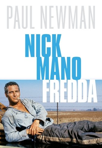 Nick mano fredda - Film completo in Altadefinizione Nick mano fredda streaming in alta definizione
