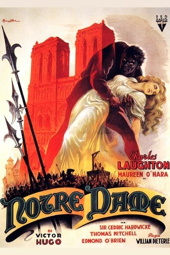Notre Dame streaming in alta definizione