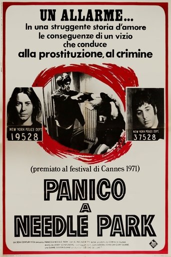 Panico a Needle Park streaming in alta definizione