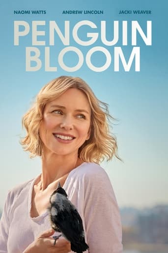 Penguin Bloom - Film completo in Altadefinizione Penguin Bloom streaming in alta definizione
