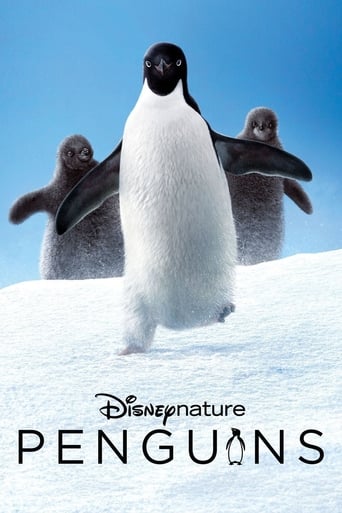 Penguins streaming in alta definizione