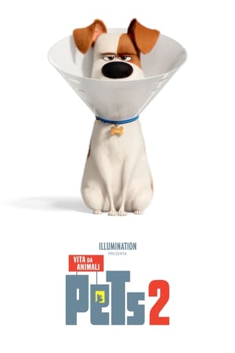 Pets 2 - Vita da animali - Film completo in Altadefinizione Pets 2 - Vita da animali streaming in alta definizione