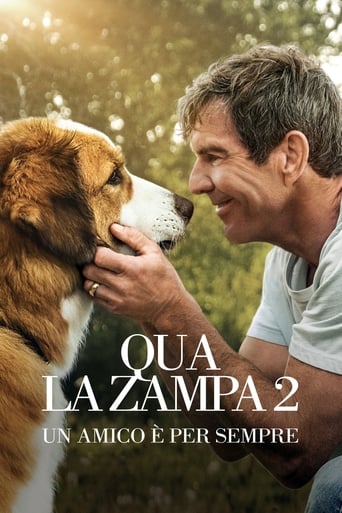 Qua la zampa 2 - Un amico è per sempre