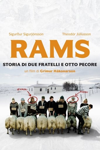 Rams - Storia di due fratelli e otto pecore - Film completo in Altadefinizione Rams - Storia di due fratelli e otto pecore streaming in alta definizione