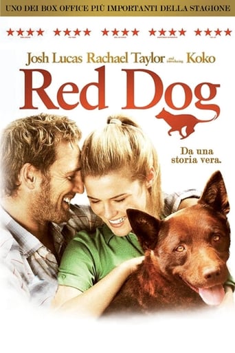 Red Dog - Film completo in Altadefinizione Red Dog streaming in alta definizione